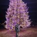 Marcella Lucas - Facebook
