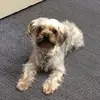 Marcella Lynch - @little.riley1_ - TikTok