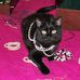 Marcella McFadden - Facebook