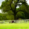 meredithgmarcella8 - @meredithgmarcella8 - TikTok