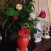 Marcella Messere - Facebook