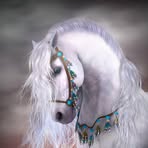 Marcella Nesmith - Facebook