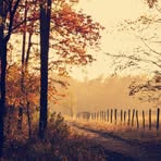 Marcella Nesmith - Facebook