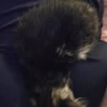 Marcella noel forcier - @marcellalikesanimals123 - Instagram