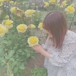 しずく - @marcellanorris5 - Instagram