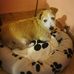 Marcella O'Neill - Facebook