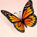 Marcella Pace - Facebook
