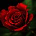 Marcella Patelli - Facebook