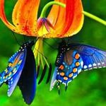 Marcella Payne - @mcpayne37gmail.com_ - Instagram