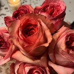 Marcella Peck - @marcella.peck - Instagram