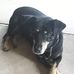 Marcella Perdue - Facebook