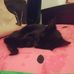Marcella Phelps - Facebook