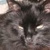 Marcella Pollard - Facebook