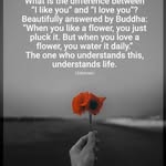 Marcella Poole Balkman - @poole_52 - Instagram
