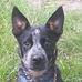 Marcella Potts - Facebook