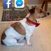 Marcella Prather - Facebook