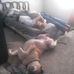 Marcella Randall - Facebook