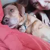 Marselina - @marcellaaringhier - TikTok