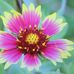 Marcella Roberts - Facebook