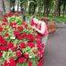 Marcella Roman - Facebook