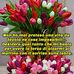 Marcella Romani - Facebook