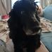 Marcella Rossi - Facebook