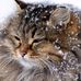 Marcella Roy - Facebook