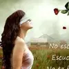 marcellasalazar73 - @marcellasalazar73 - TikTok