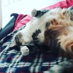 Marcellashaw - @mahoganymarcie - Instagram