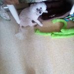 Marcella Sandall Simmons - @marcella.simmons.7792 - Instagram