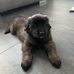 Marcel Lasnowski - Facebook