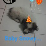 @marcella_snowy - Instagram