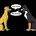 Marcella Ward - @dogsspeakdogtraining - Instagram