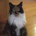Marcella Ward - Facebook