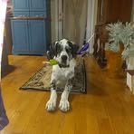 Marcella Warfield - Facebook