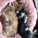 Marcelle Gillain - Facebook