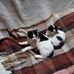 Marcelle Gillard - Facebook