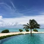 Marcelle Lefebvre - @marcelle.lefebvre - Instagram