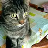 Marcelle Lefebvre - @marcelle.lefebvre - TikTok