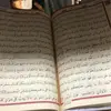 MarcelleLefebvre - @khudsgtstzm - TikTok