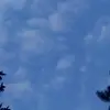 Marcelle.Lefebvre - @marcellelefebvreitwpyi - TikTok