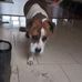 Marcel Stonge - Facebook