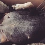 Marcelle Wheeler - @wheeler.marcelle - Instagram