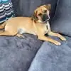 Marcello J Barba - @marcello.j.barba - TikTok