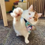 マルセロ ✌️🤩 - @marce_llocastillo - Instagram