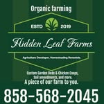 Marcello Castillo ( CEO, Founder Hidden Leaf Farms Inc ) - @hiddenleaffarmshomesteads - Instagram