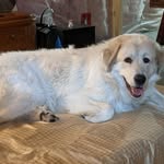 Marcello Grimaldi - @grimaldi9846 - Instagram