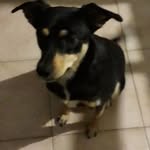 Marcello Lorusso - @marcy030307 - Instagram