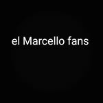 el Marcello fans page - @el.marcello_fans - Instagram