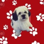 @marcellopage - Instagram